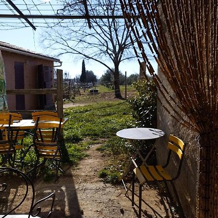 Studio Independant Dans Ferme Equestre 오프스 외부 사진